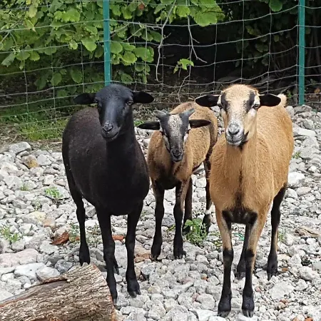 Penzion Prirodni Dum V Duchu Velryby Kamenne Zbozi