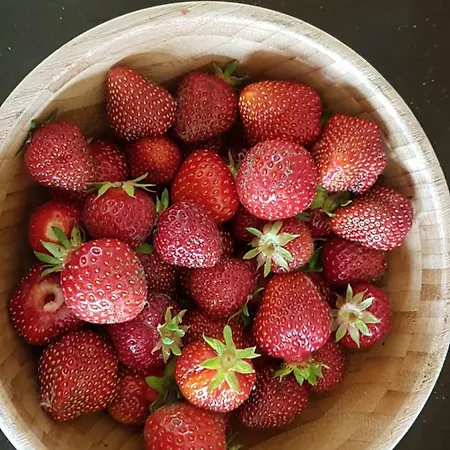 Prirodni Dum V Duchu Velryby Pensjonat 4*