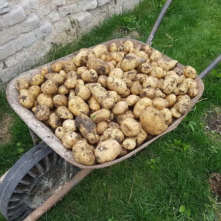 Pensjonat Prirodni Dum V Duchu Velryby 4*