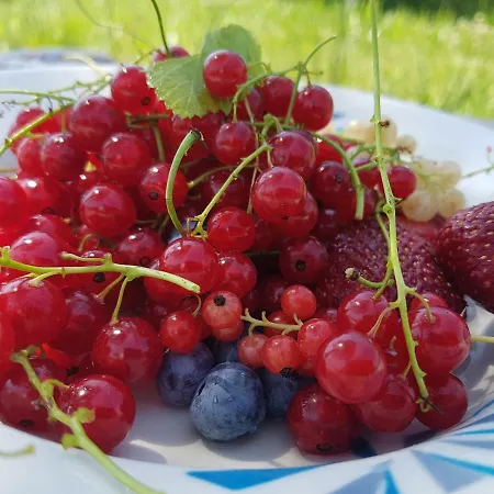Penzion Prirodni Dum V Duchu Velryby